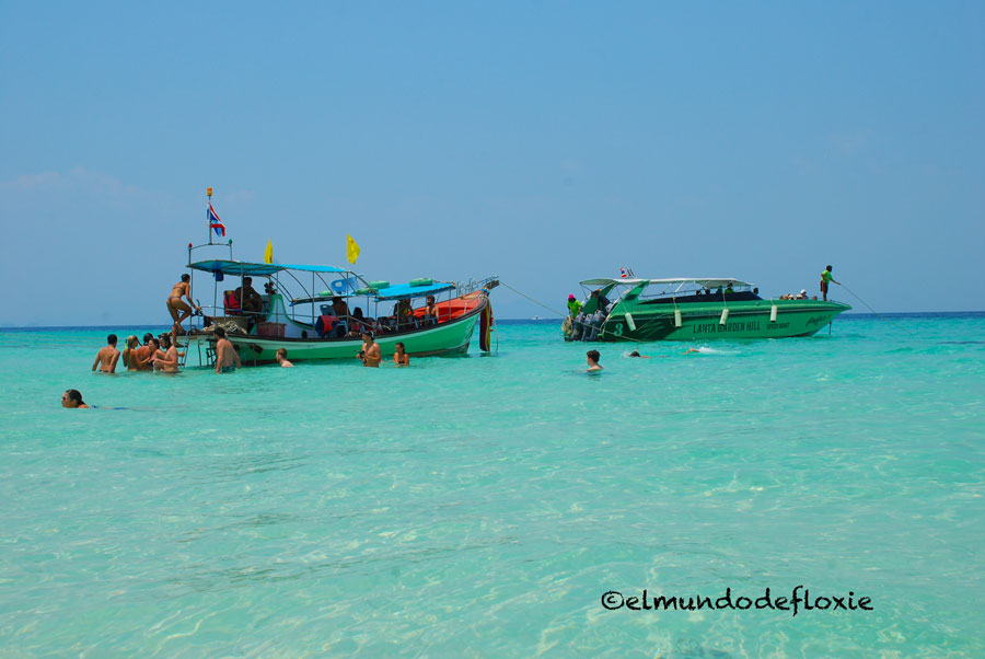 Bamboo Island