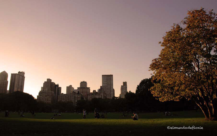 centralpark