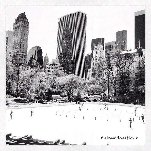 rink