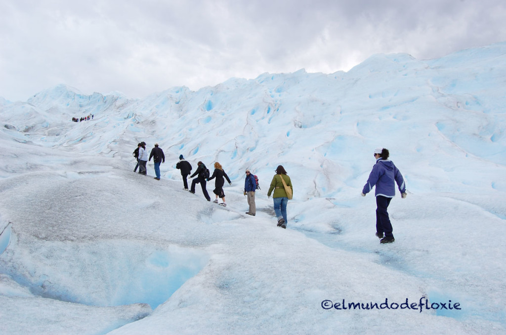 TrekkingCalafate
