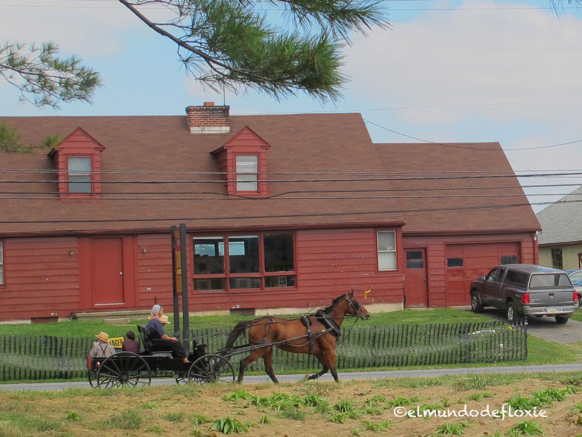 amish
