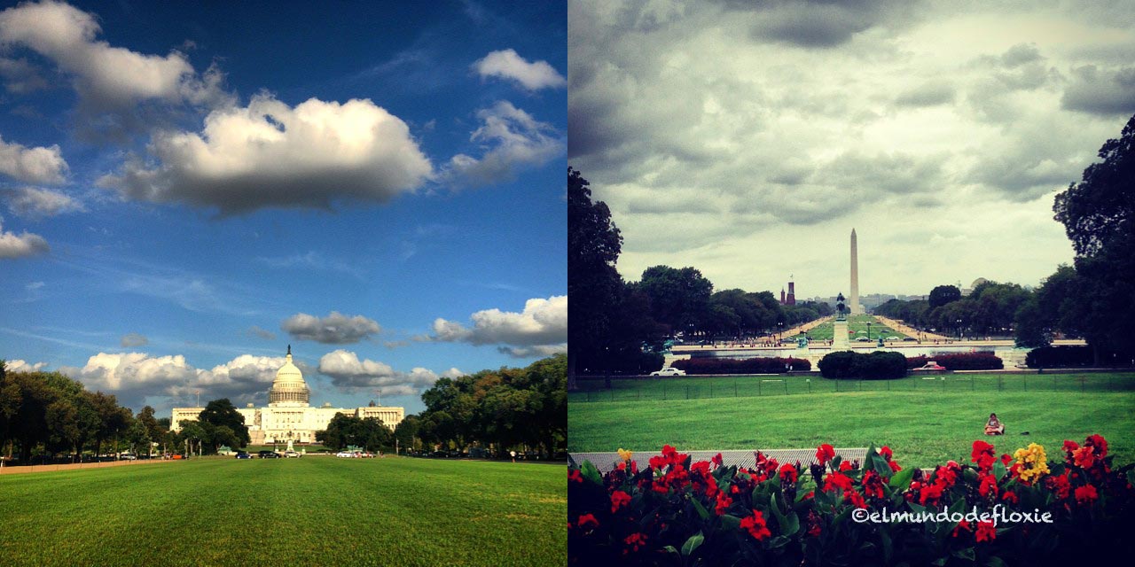 washingtonDC