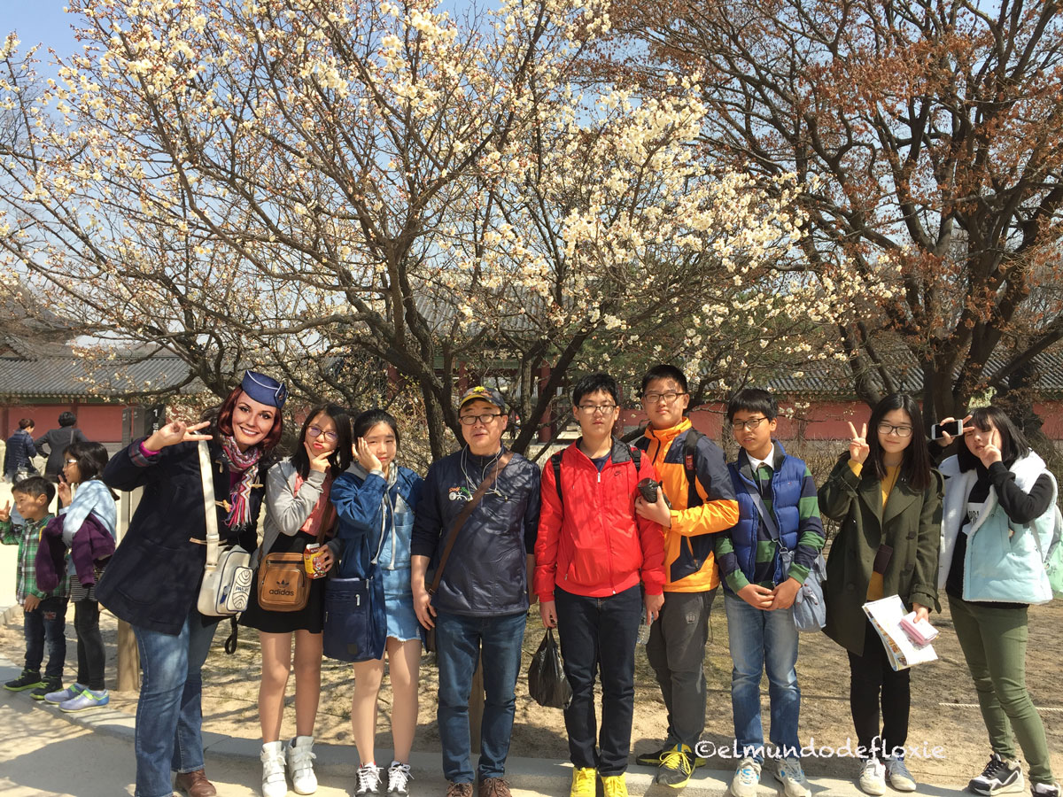 floxieandkoreanfans