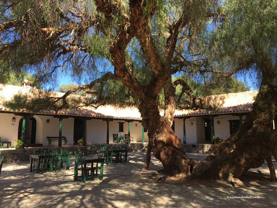 molinos2