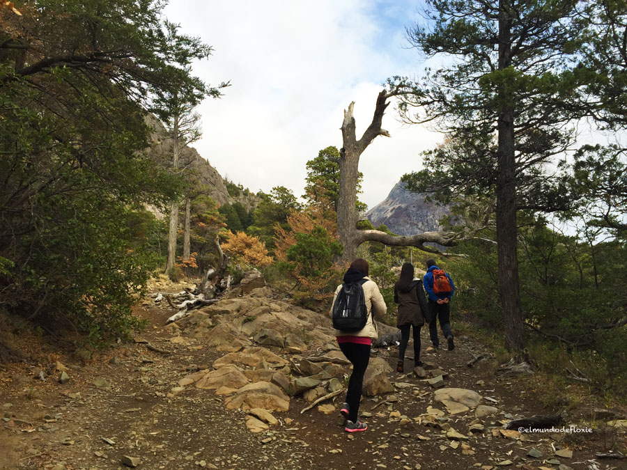 trekking