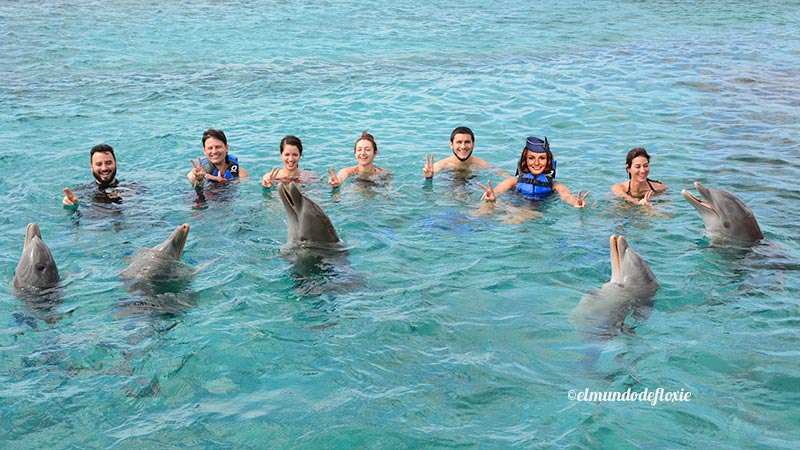 grupodelfines