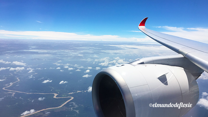 sharklet2