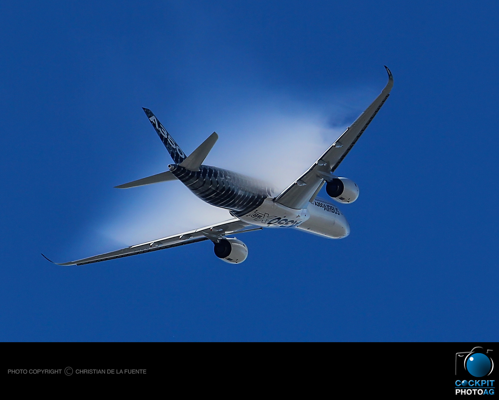 Copyright ©Christian de la Fuente