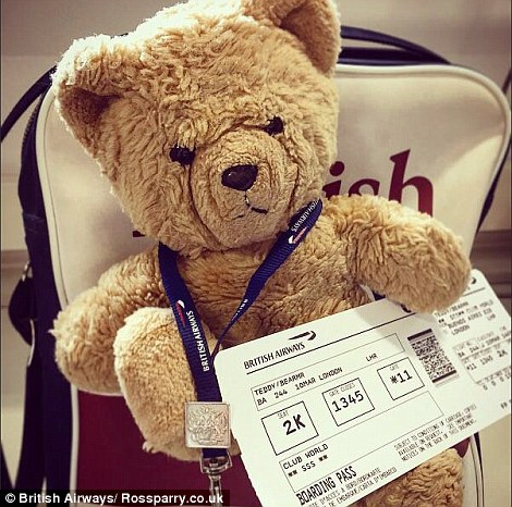 teddyclub
