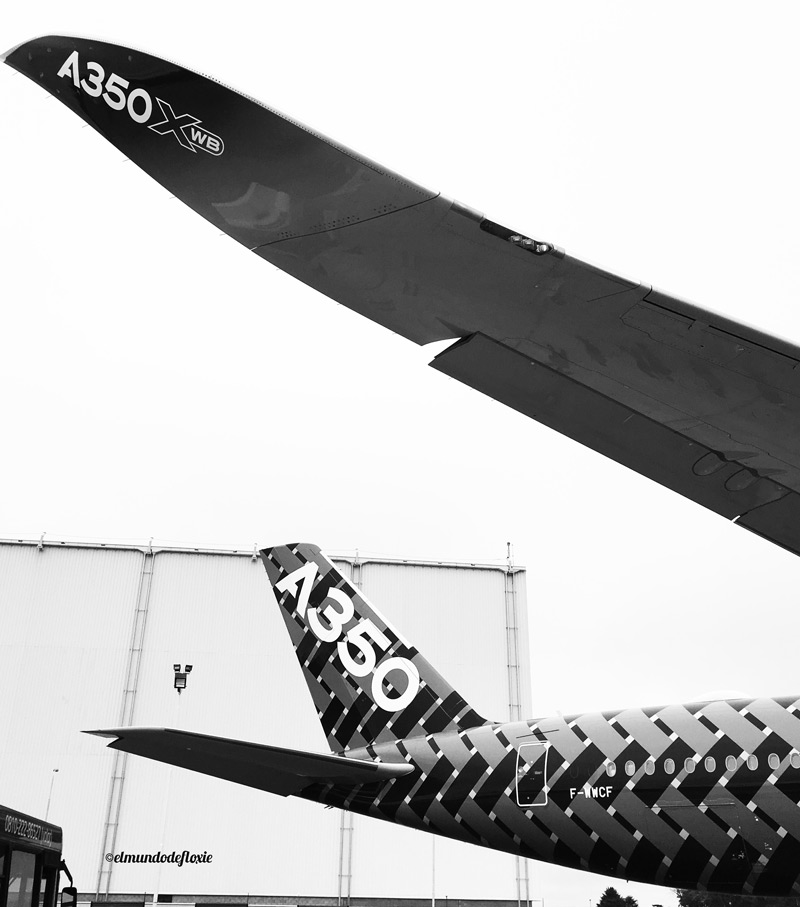 wings350