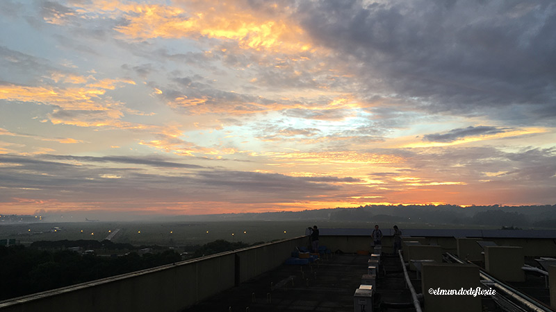 terrazahotelmatiz